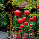 photo-2933163