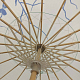 photo-2895503